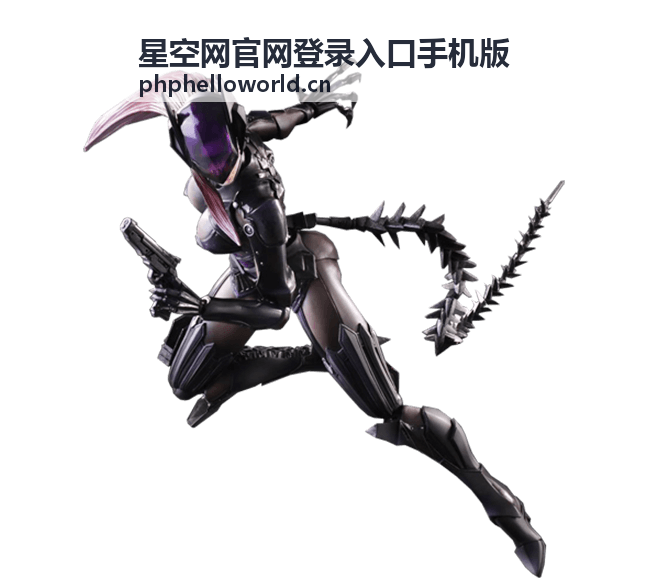星空网官网登录入口手机版极速认证功能